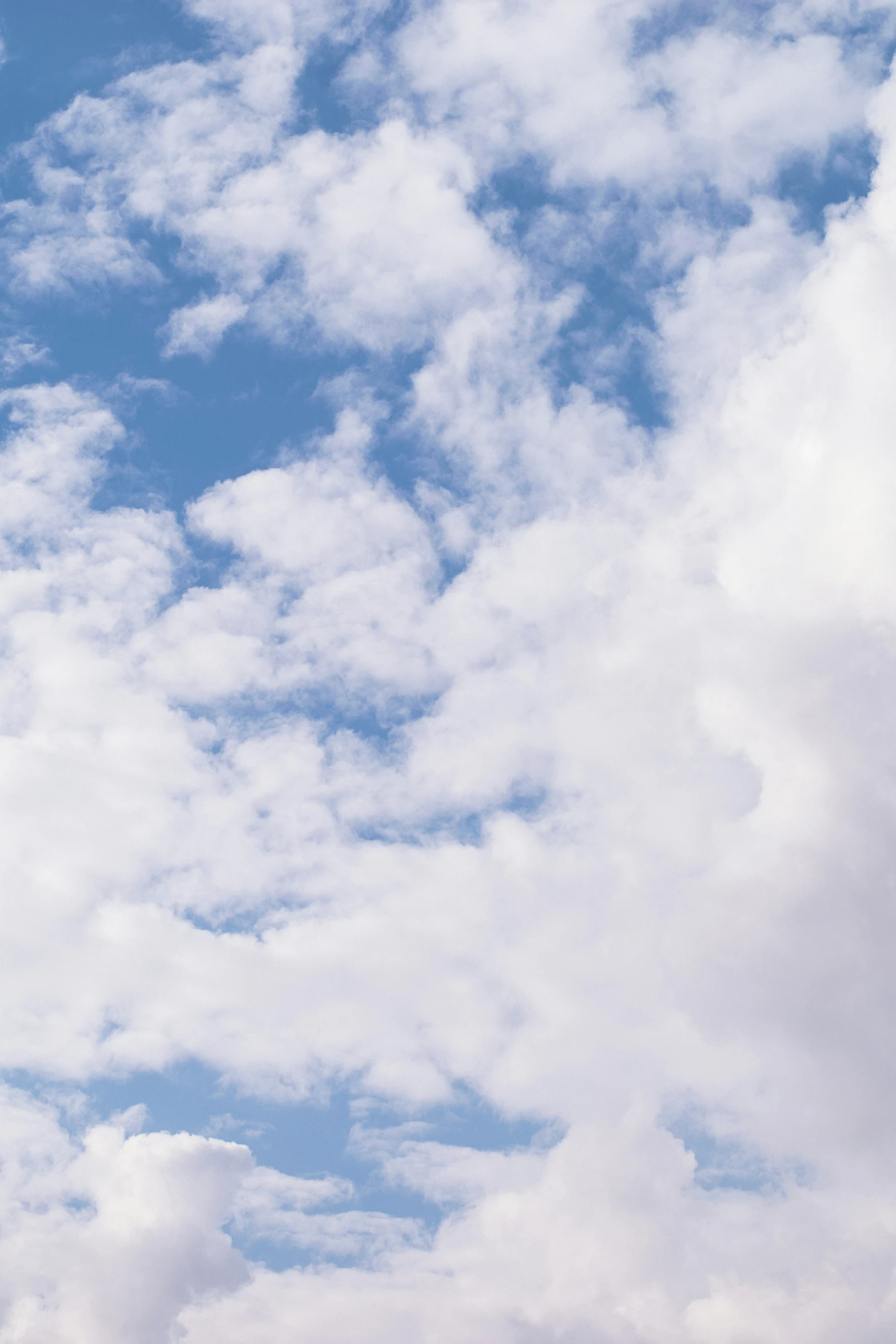 a airplane flies through the cloudy sky