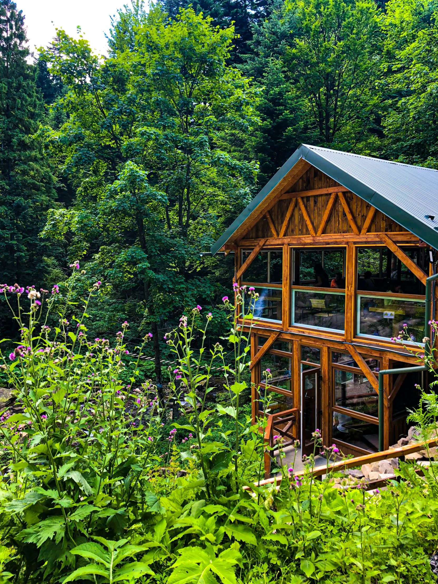 a cabin nestled in a forested area with flowers around
