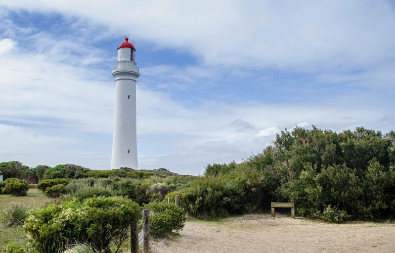 a light house is seen with vegetation near by