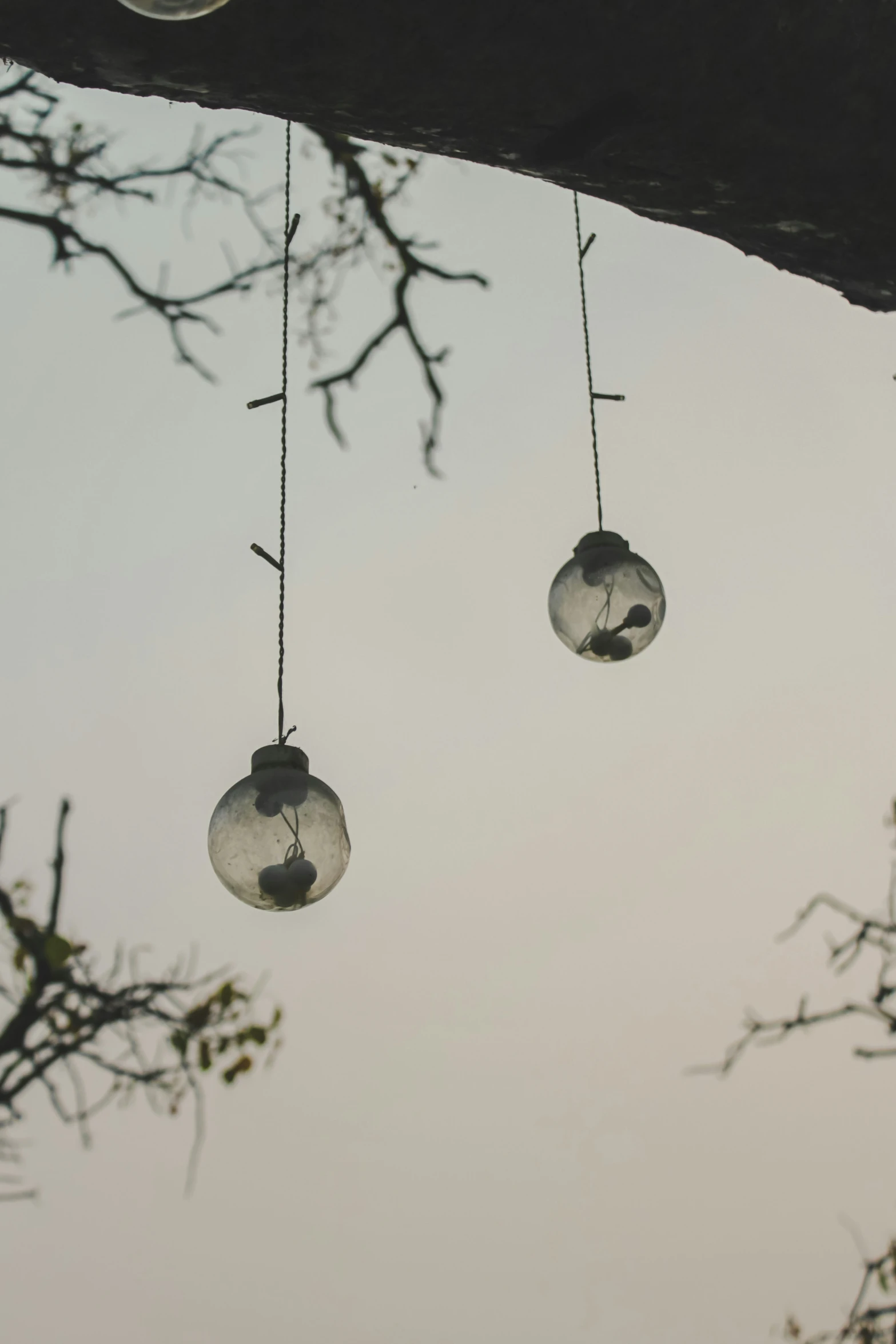 four glass balls hanging from a tree nch