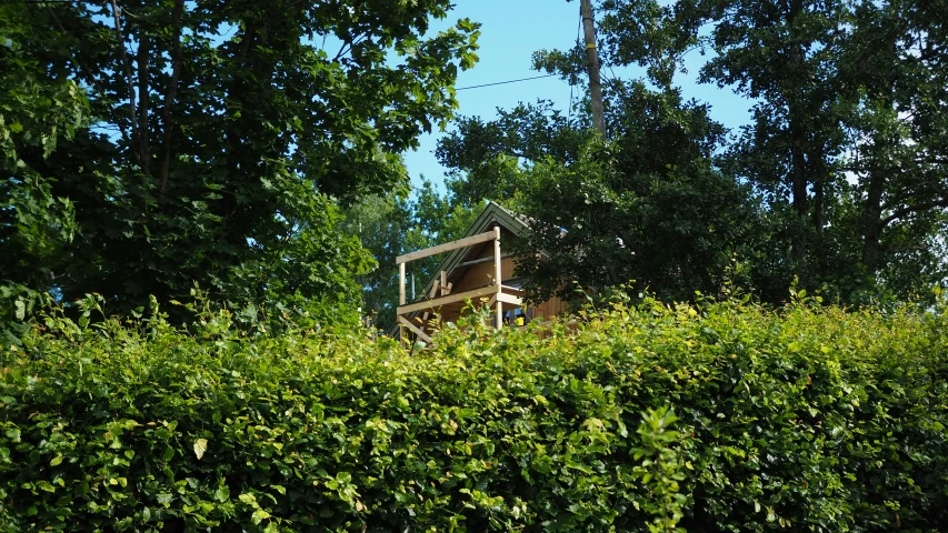 a cabin nestled in bushes in the forest