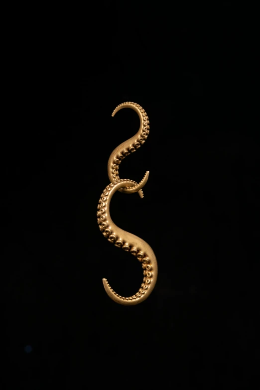 a snake like object is seen in the dark