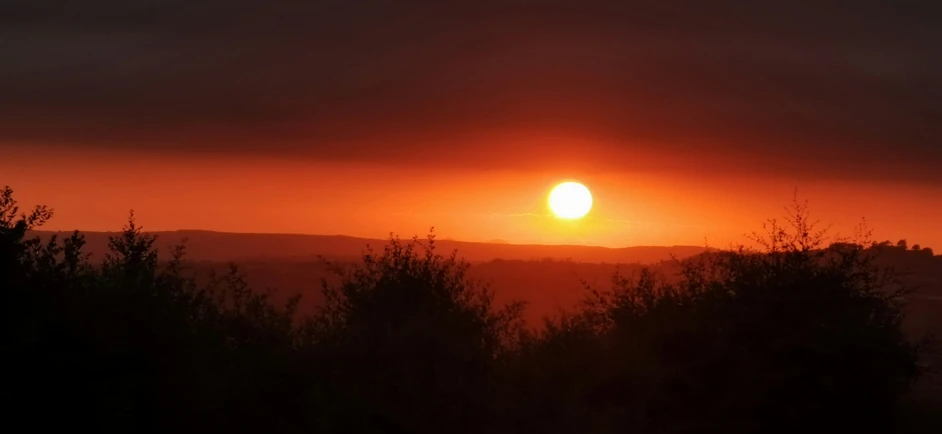 the sun rising over the trees with an orange background