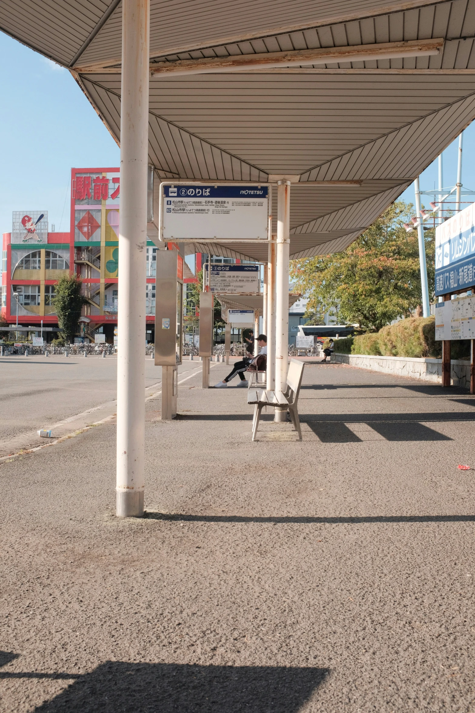 a dog sitting on a bench at a bus stop