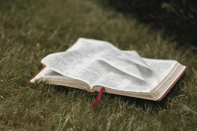 an open book laying on a lawn next to a tree