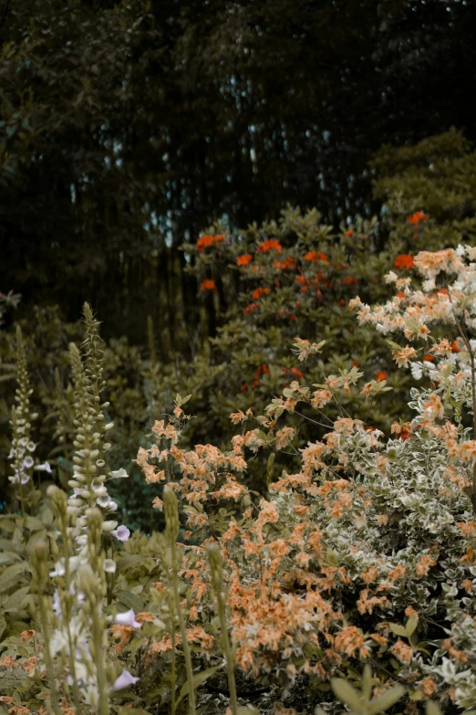 there is a fire hydrant surrounded by flowers