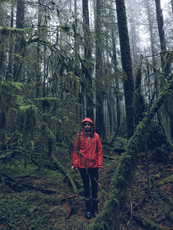 a man in a red jacket and hat walks through a forest