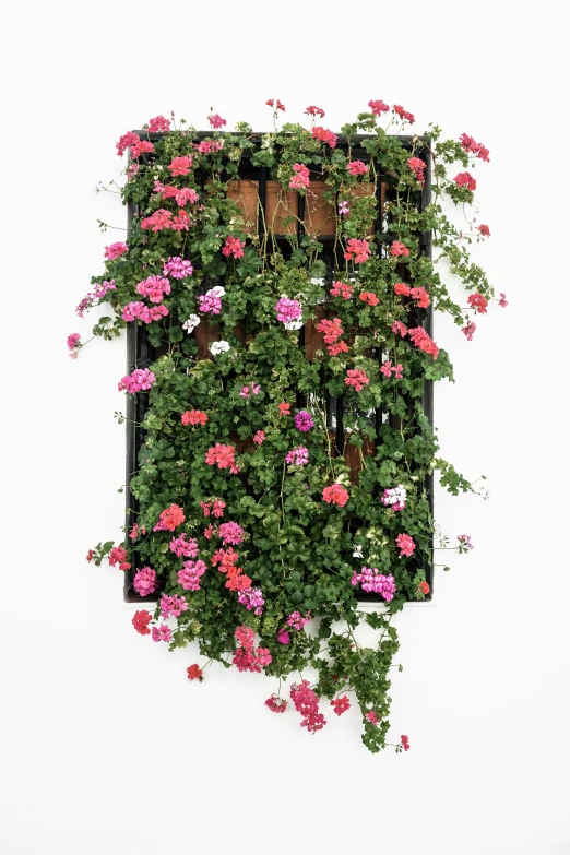 a window with pink flowers on it's wall