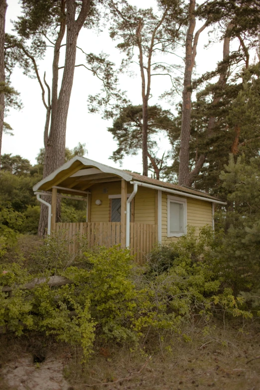 a small building sitting among trees in the forest