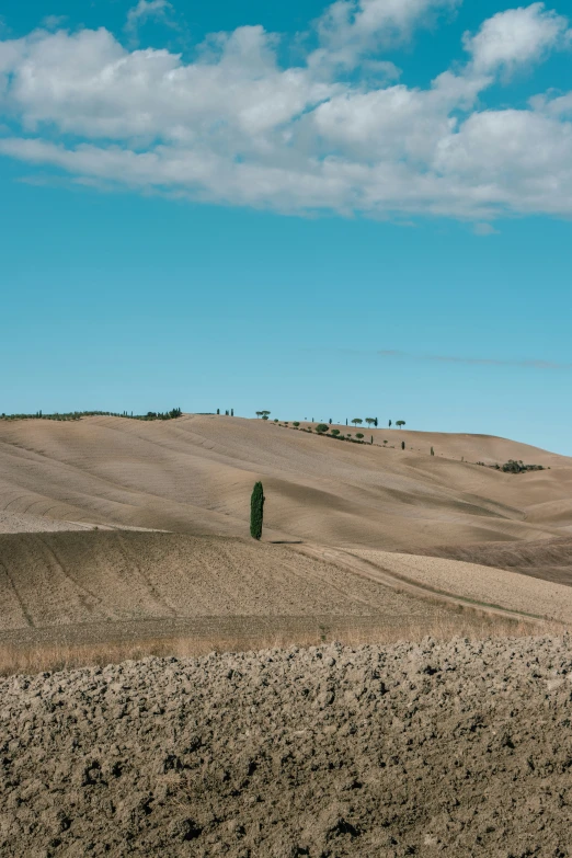 view of the countryside, with a lone tree in the foreground