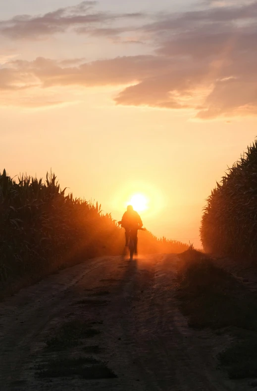 silhouette of person walking towards the sun