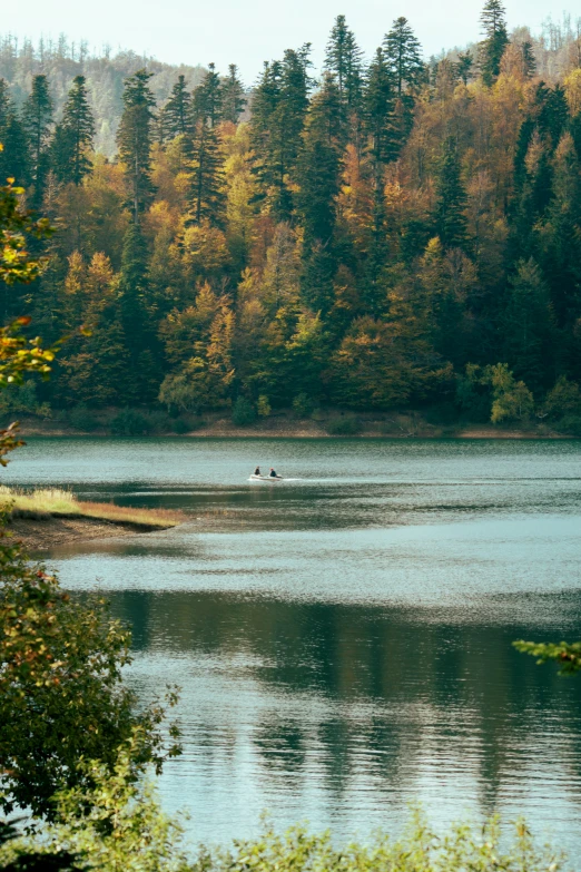 two canoes are docked at the shore of a small lake