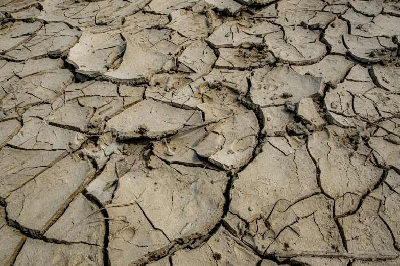 there is a picture of the dry ground