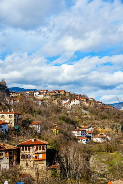 a hillside town with several trees and buildings