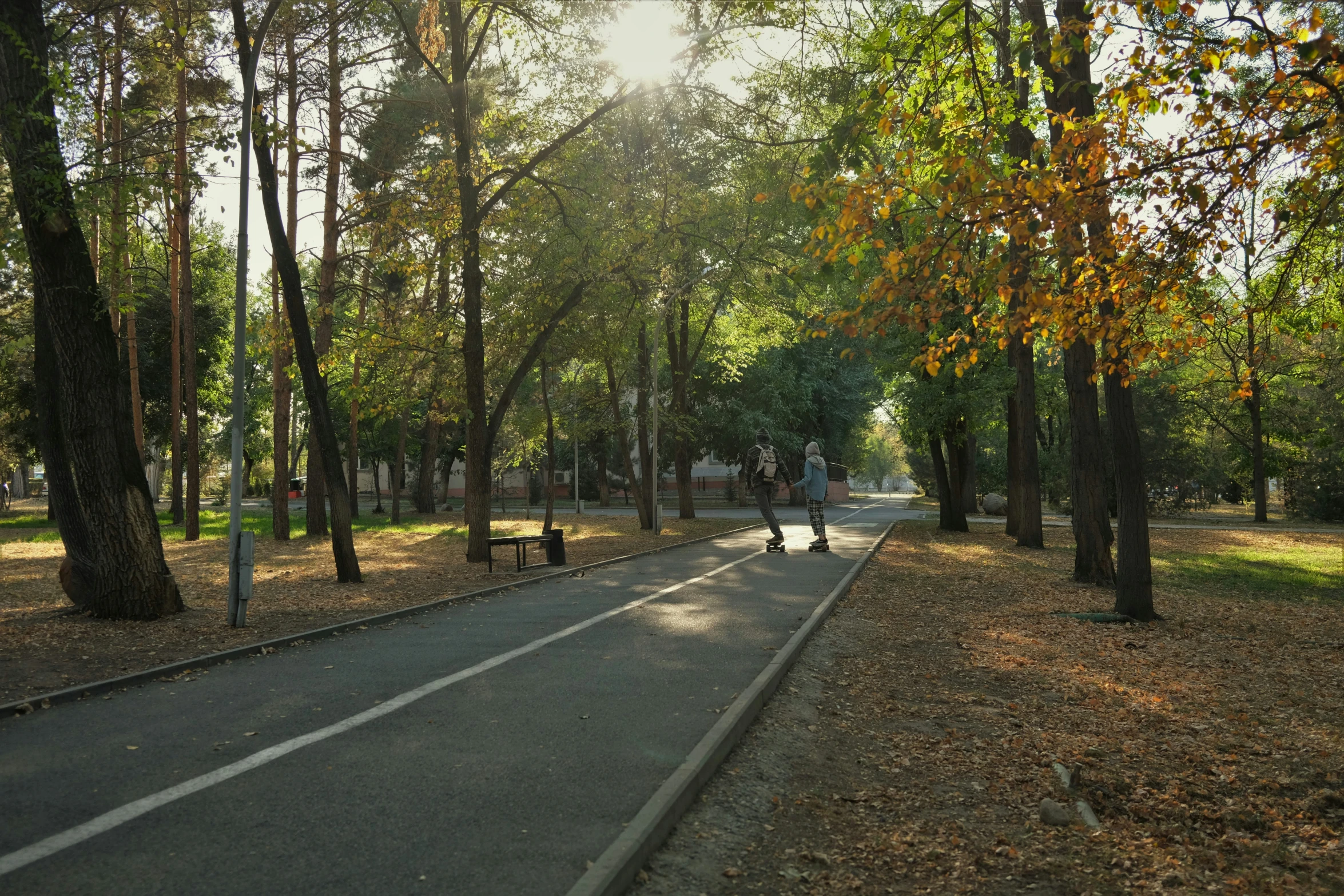 an empty pathway running through a park with trees