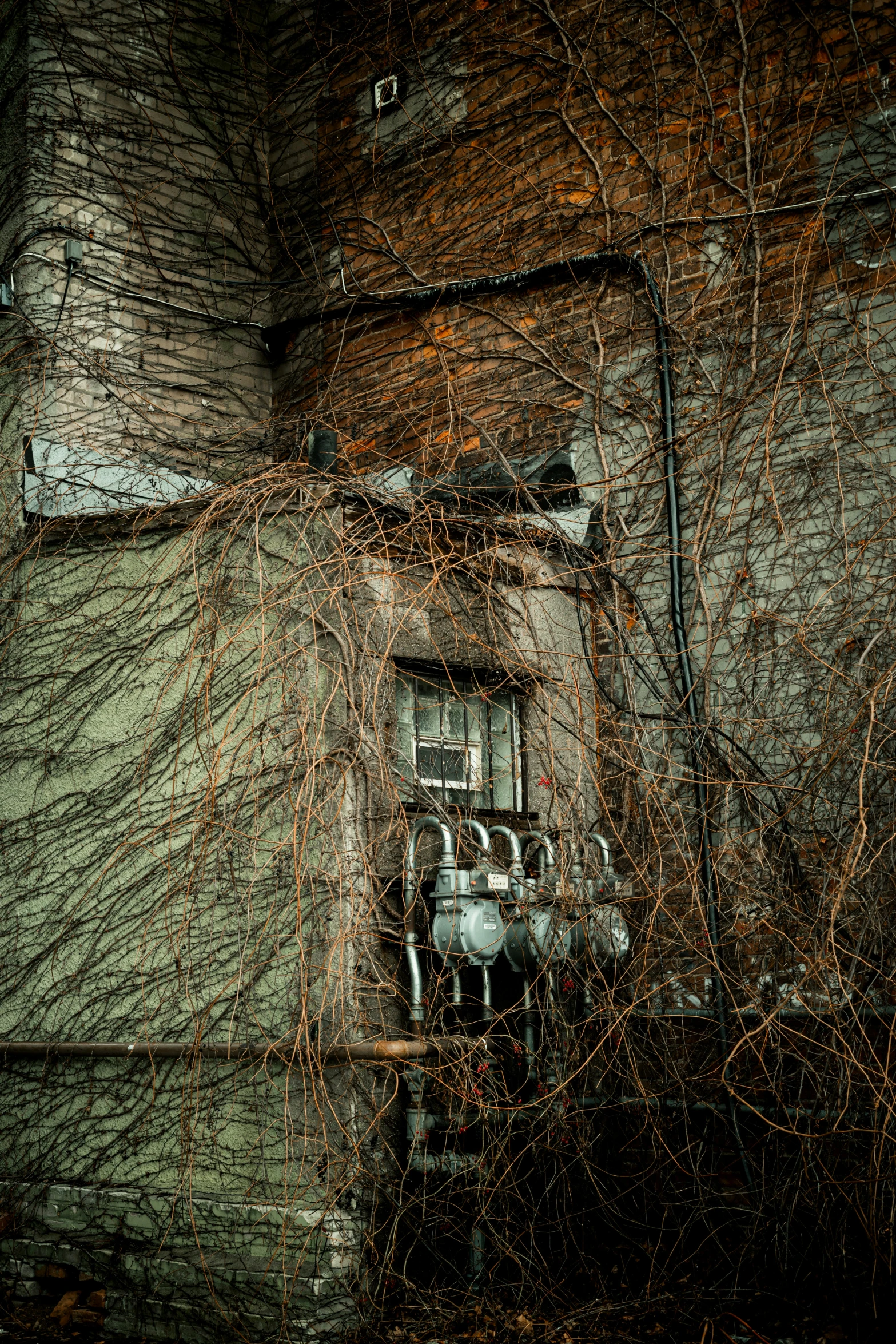 this is an old building that is partially overgrown