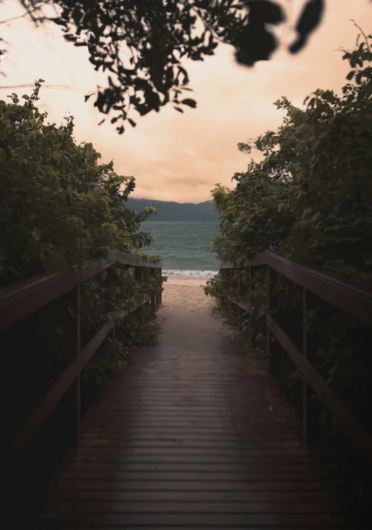 a wooden walkway going across the water and trees