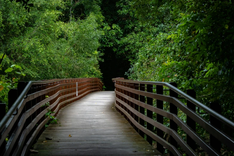 a wooden bridge that has trees in the background