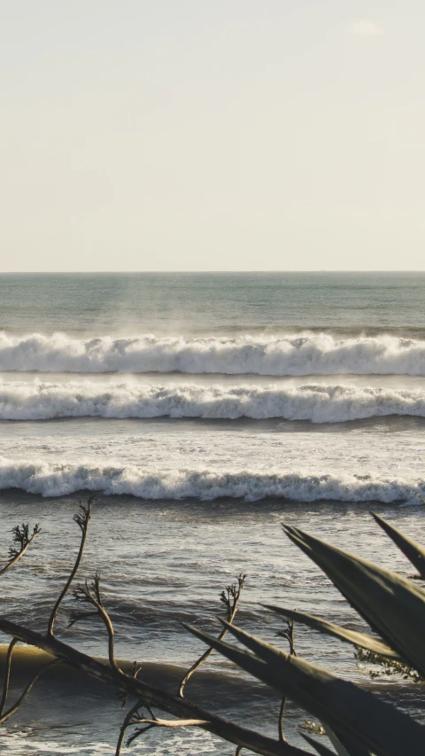 a surfer is walking on the shore with a surfboard