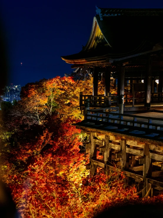 trees and foliage in front of an asian building