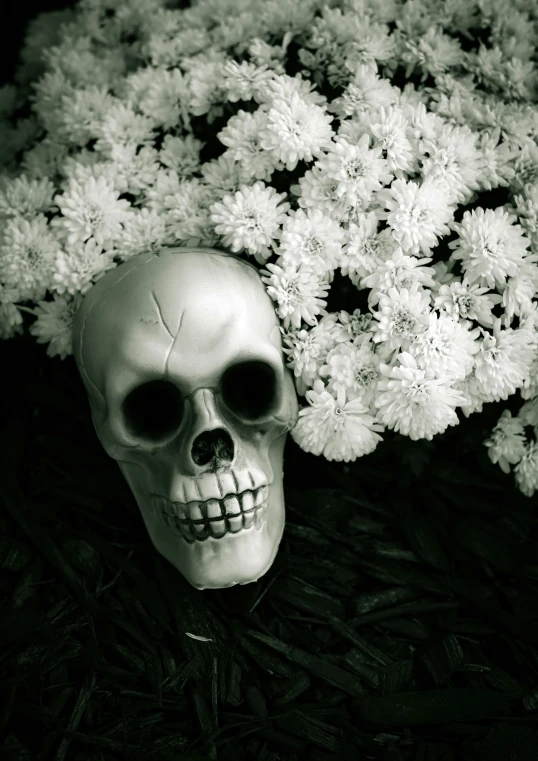 a skull sitting on top of a pile of flowers