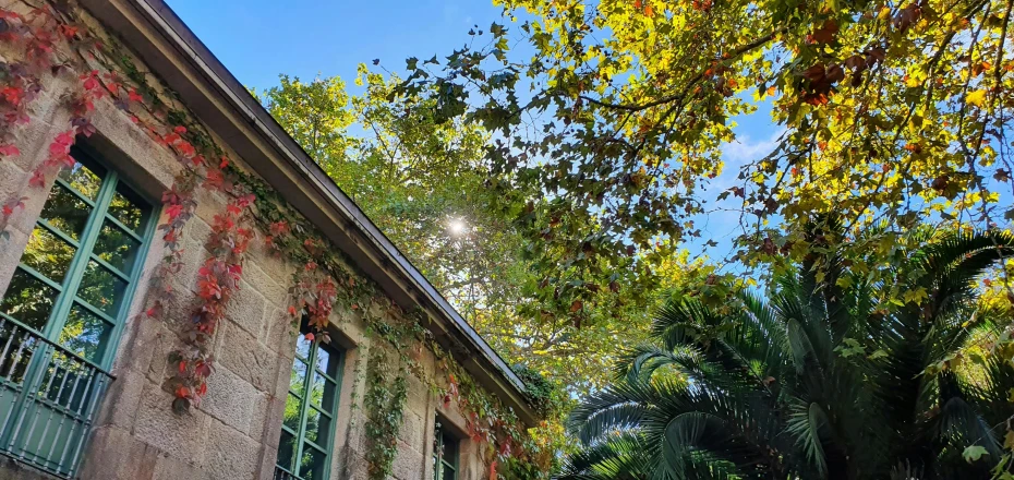 this house has plants growing out the windows