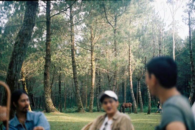 people are sitting in the woods by themselves