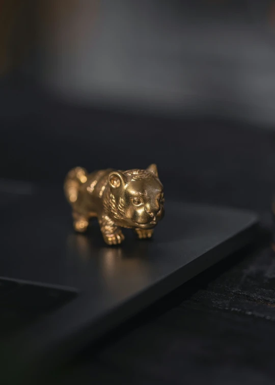 gold plated cat toy laying on top of a black surface