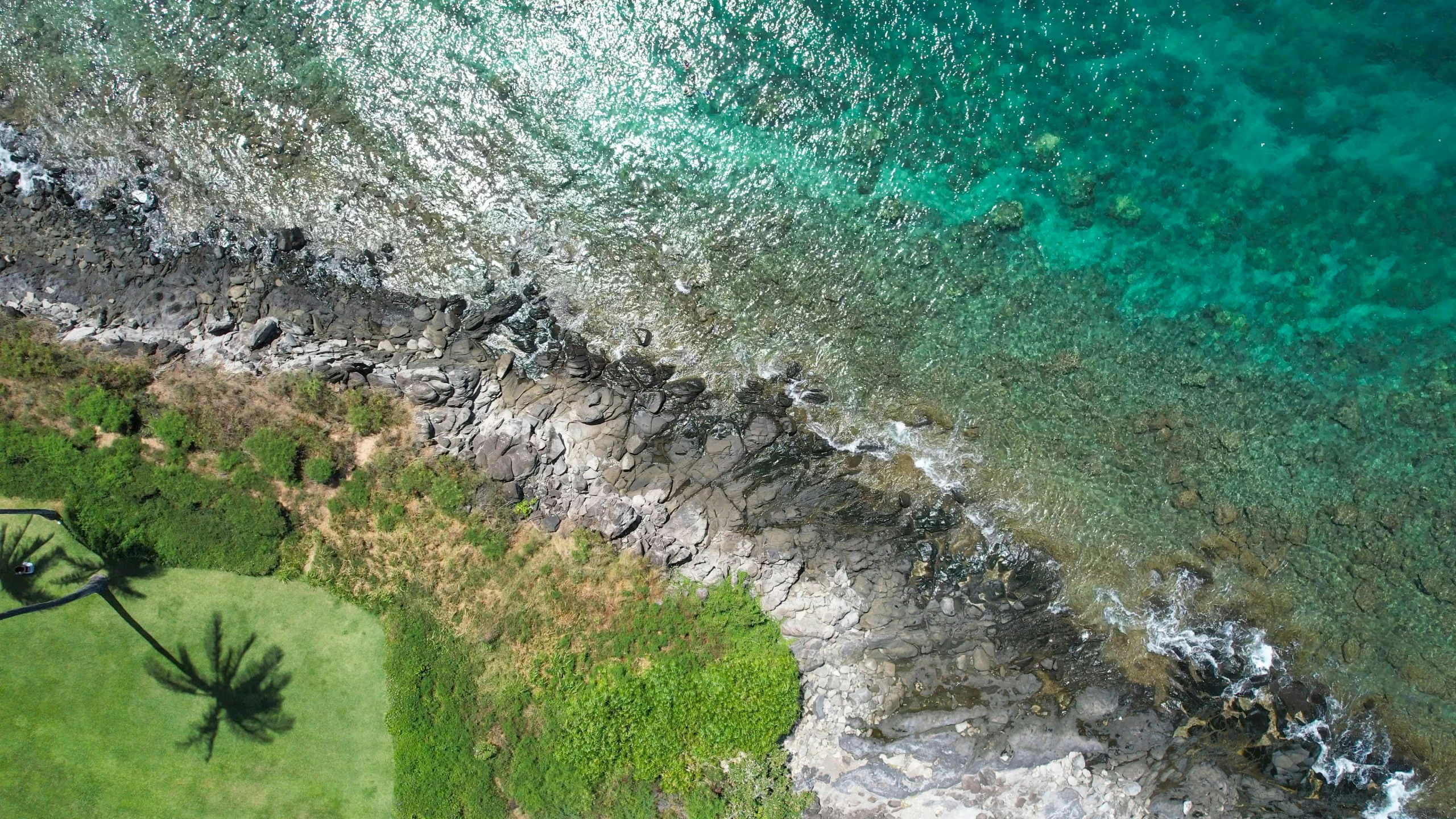 the view of a large grassy field and water from above