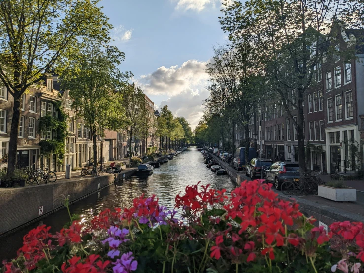 a waterway in the city with flowers blooming along it