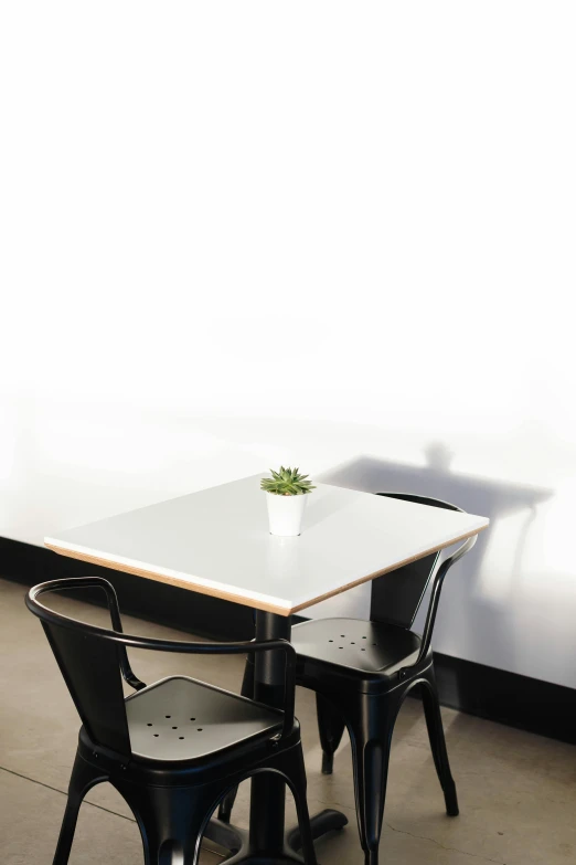 a table with two chairs and one green plant on top