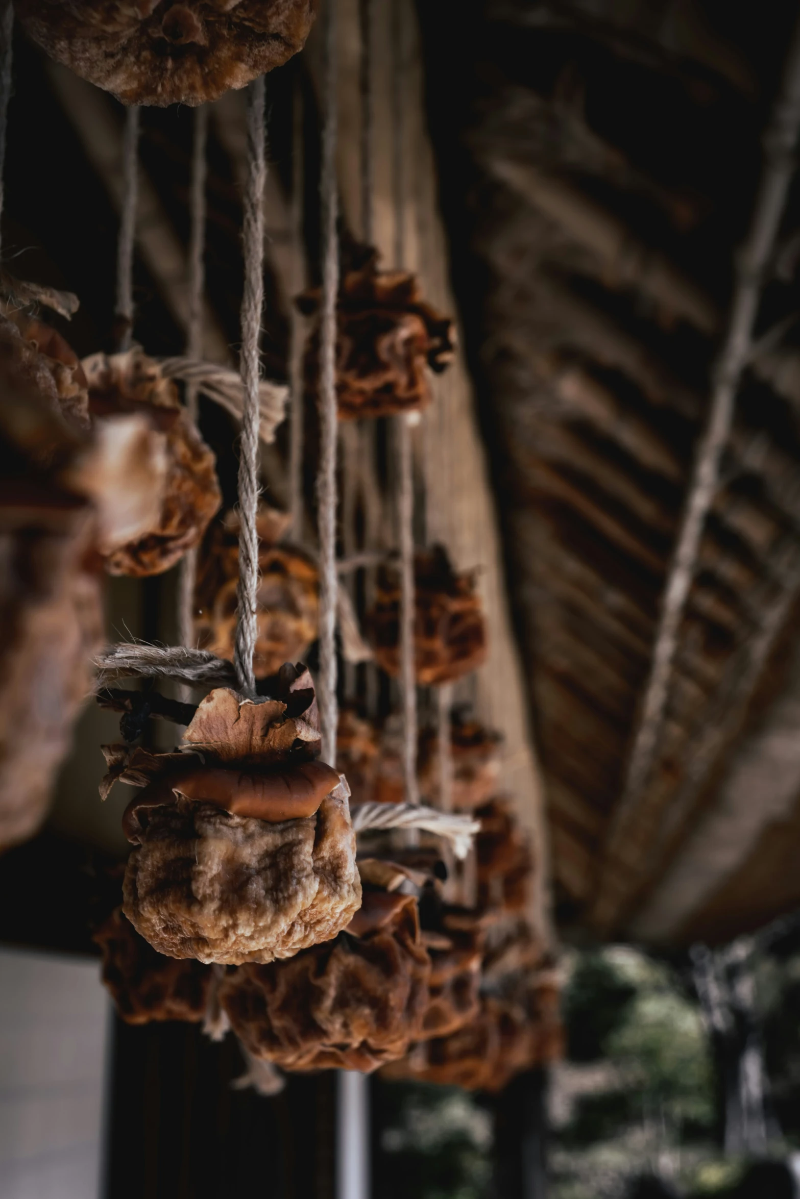 the food is hanging from the rafter with strings