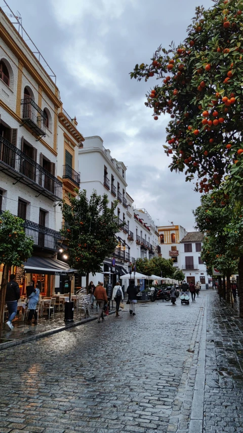 a cobblestone street lined with white buildings and orange trees