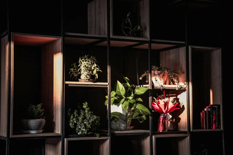 a bookshelf with plants, plants and books in it