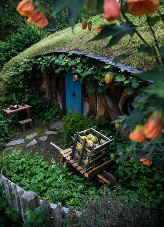 a house in a garden, surrounded by plants and flowers