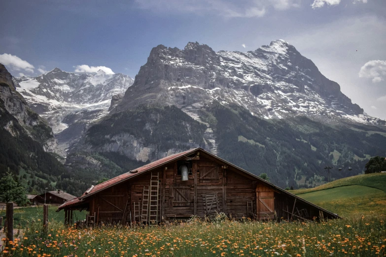 an old barn sitting out in a flowered meadow with mountains in the background