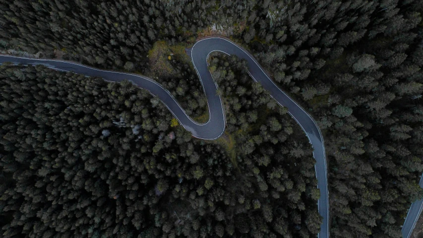 an aerial view of a road in the forest