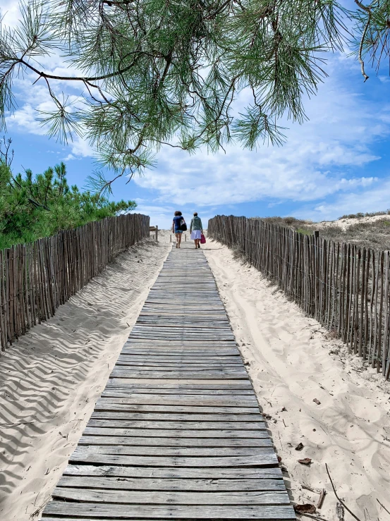 the walkway to the beach is lined with wooden boards