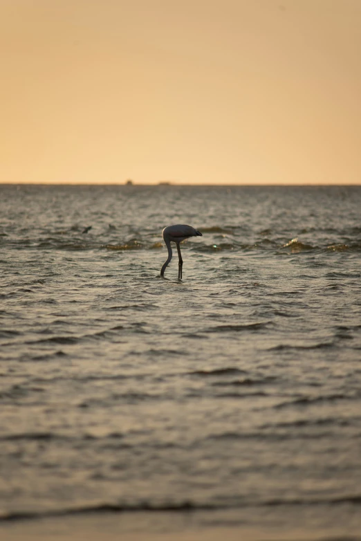 two people standing in the middle of a large body of water