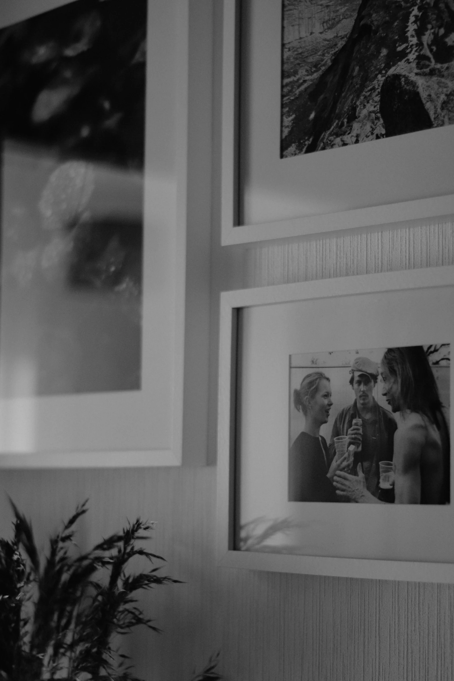 three pictures mounted on the wall above a plant