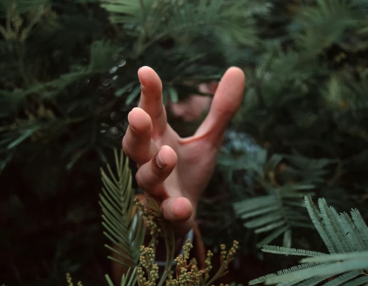 a person is holding out their hand towards plants and trees