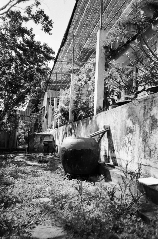 a black and white image of a back yard and old structure