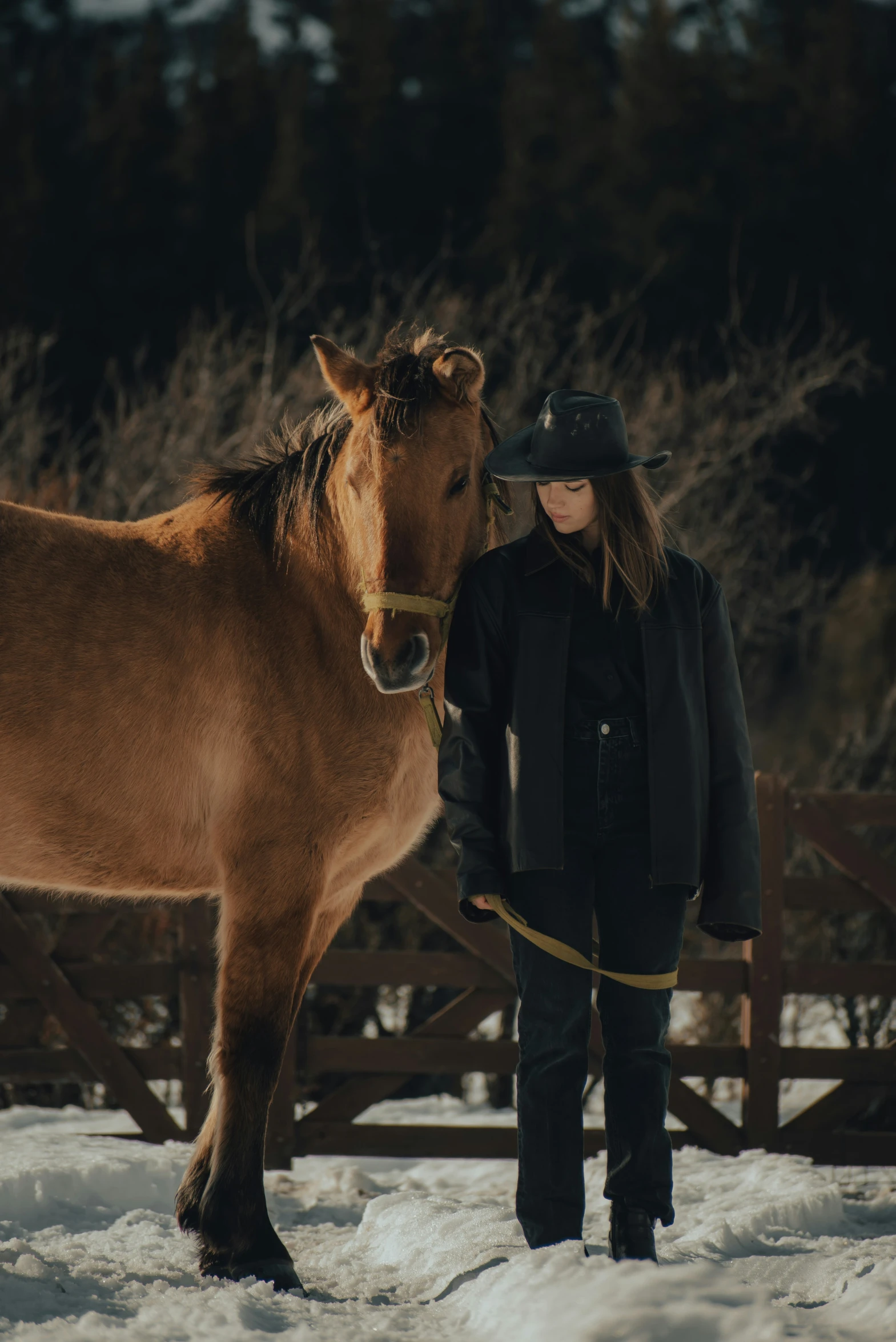 a woman and her brown horse standing in a field