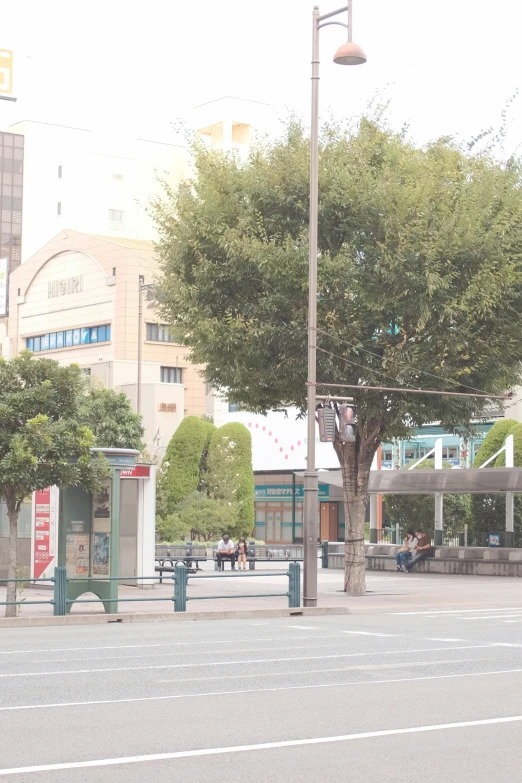 a street intersection with trees and signs next to a tree