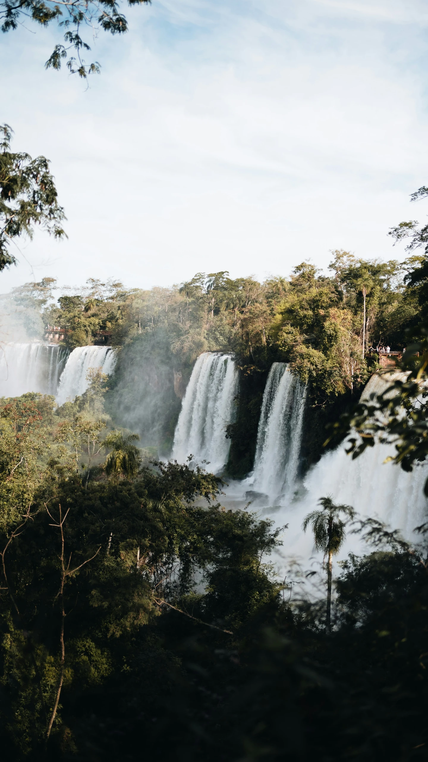 a group of water fall in the middle of trees