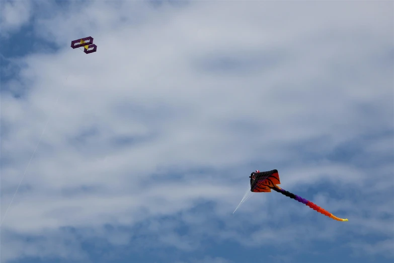 an image of two kites in the air