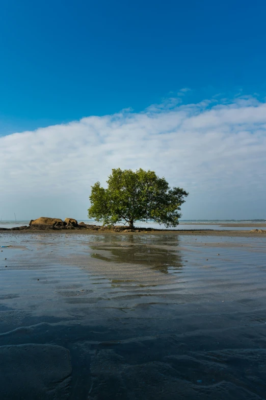 an island that is standing alone in the water