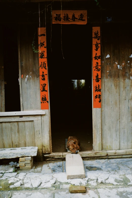 a dog is sitting in the door way of an old wooden house