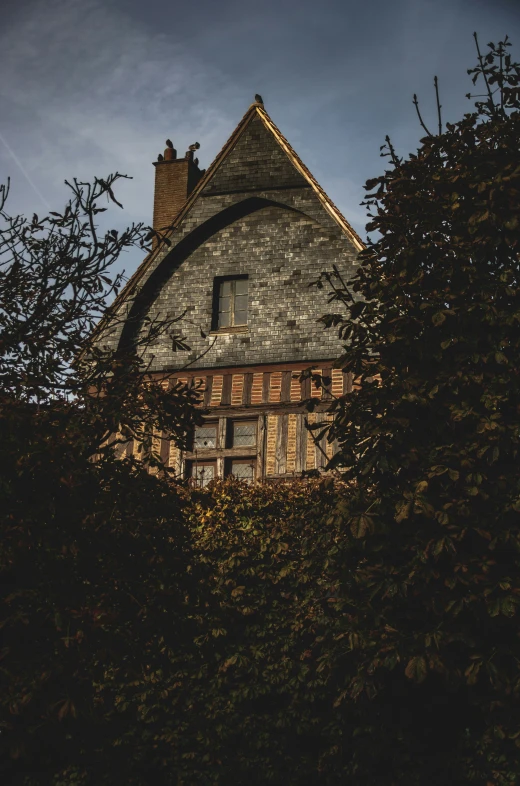 a dark scene looking through some trees toward the building