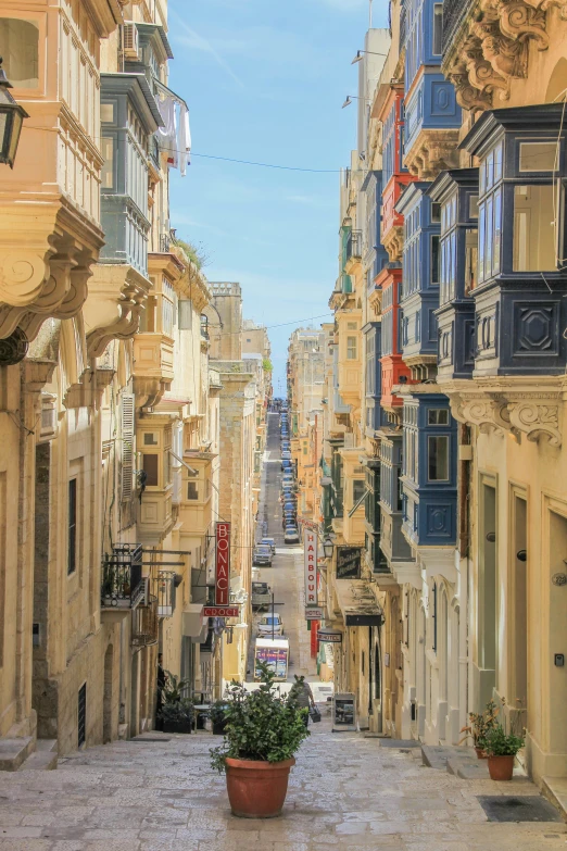 this po shows a narrow street with a plant in front